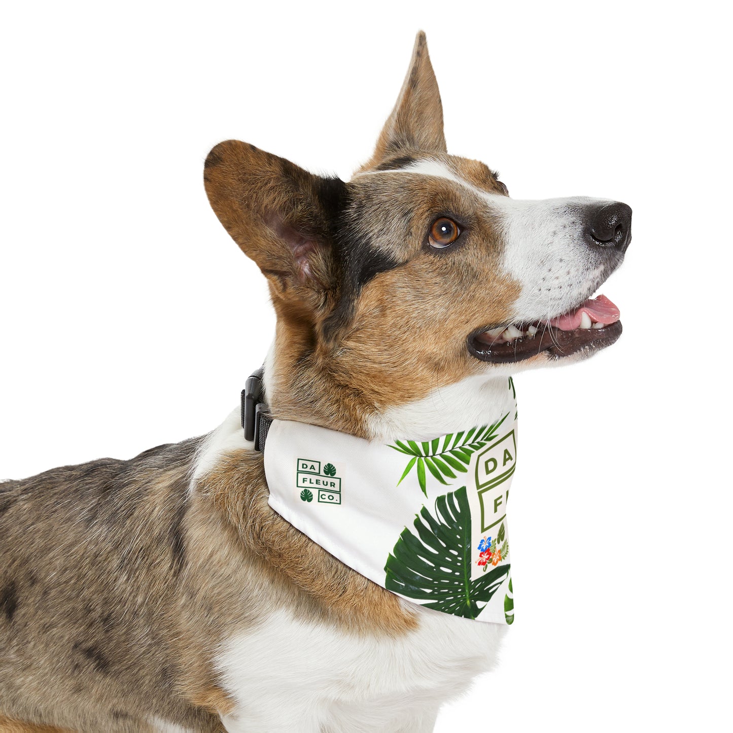 Pet Bandana Collar