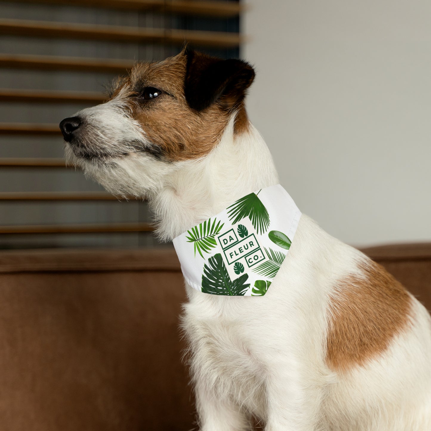 Copy of Pet Bandana Collar