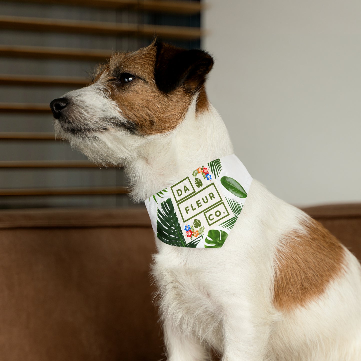 Pet Bandana Collar