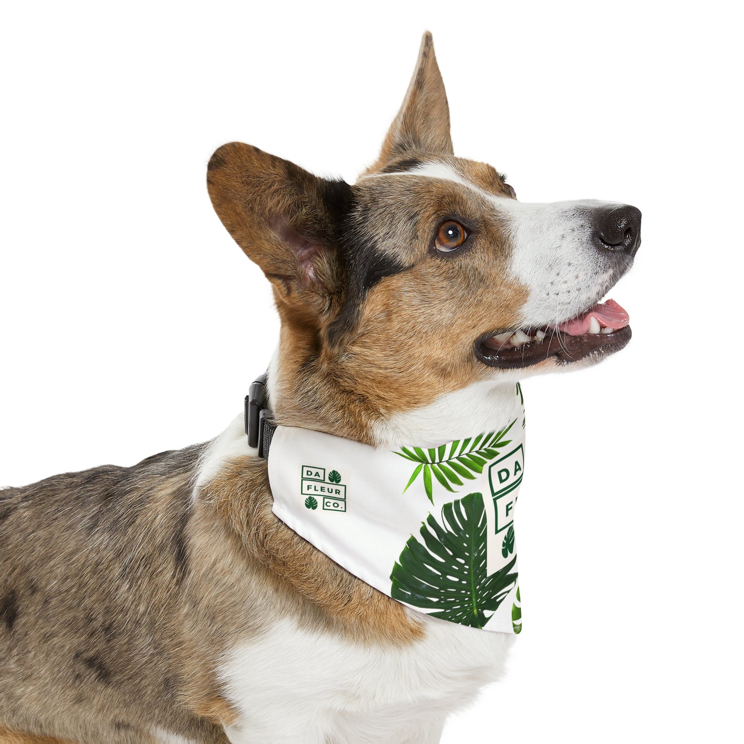 Copy of Pet Bandana Collar