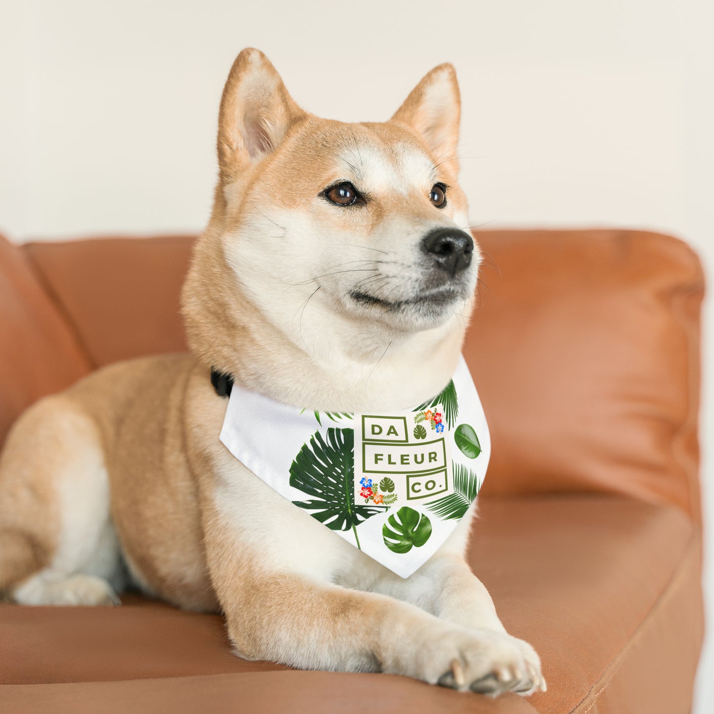 Pet Bandana Collar